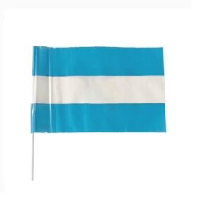 BANDERAS PLASTICAS ARGENTINA 25x15cm