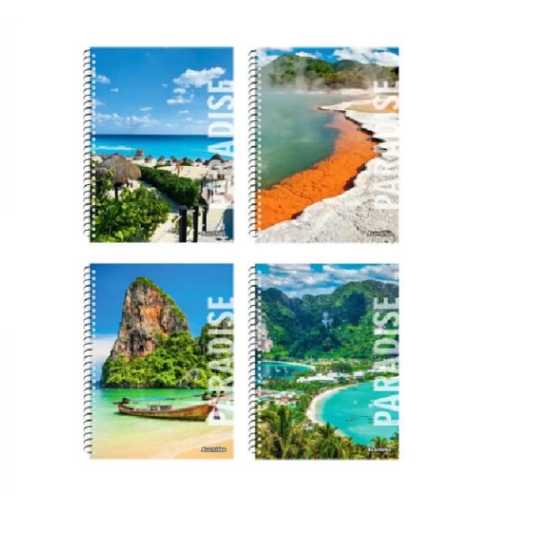 CUADERNOS ESPIRAL A4 TAPA BLANDA    80 HOJAS RAY.  ASAMBLEA
