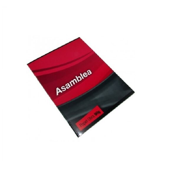 CUADERNOS TAPA BLANDA 16x21  48 HOJ.RAY. ASAMBLEA