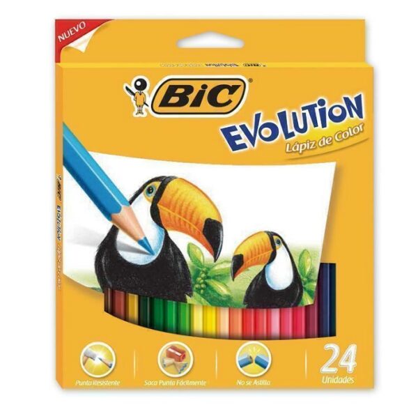 LAPICES COLORES 24 LARGOS BIC EVOLUTION