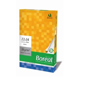 RESMAS 22x34 70Gr.  BLANCO BOREAL