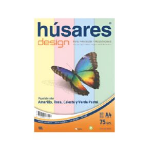 RESMAS A4 _COLOR 75Gr. X 100 HOJAS HUSARES