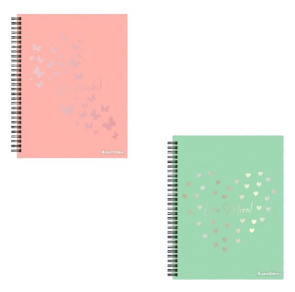 CUADERNOS ESPIRAL CUARTA TAPA DURA  96 HOJAS RAY.  FANTASIA - Leysa