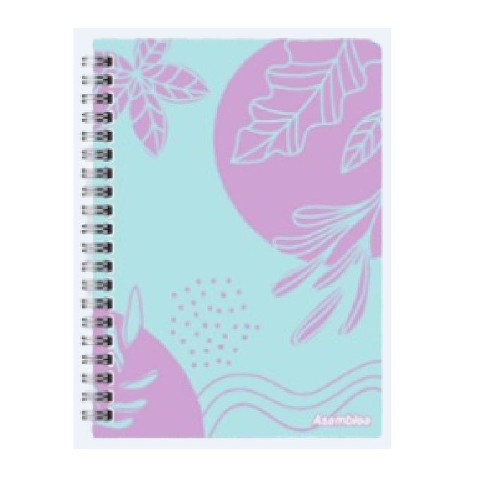 CUADERNOS ESPIRAL CUARTA TAPA DURA  96 HOJAS RAY.  FANTASIA - Leysa - BICOLOR_1