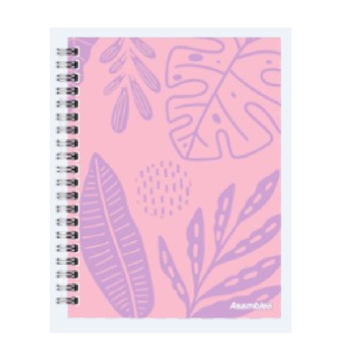 CUADERNOS ESPIRAL CUARTA TAPA DURA  96 HOJAS RAY.  FANTASIA - Leysa - BICOLOR_2