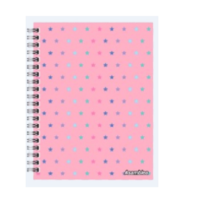 CUADERNOS ESPIRAL CUARTA TAPA DURA  96 HOJAS RAY.  FANTASIA - Leysa - COLOR_2