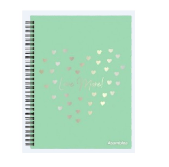 CUADERNOS ESPIRAL CUARTA TAPA DURA  96 HOJAS RAY.  FANTASIA - Leysa - PASTEL_1