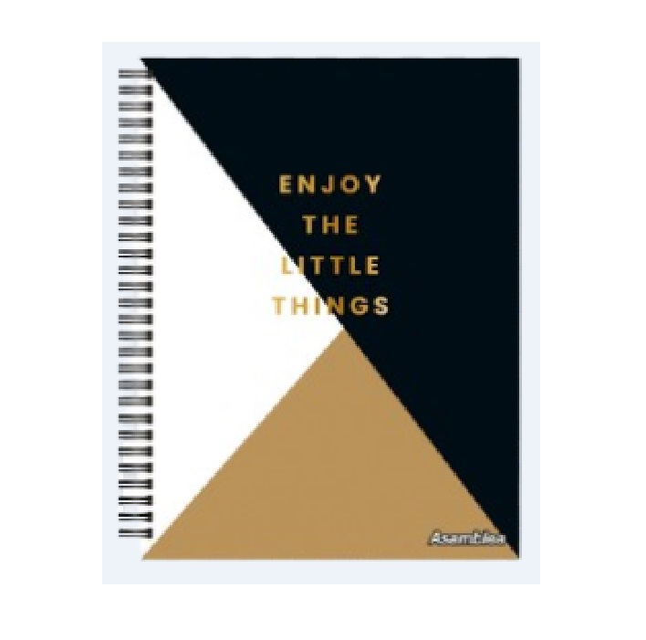 CUADERNOS ESPIRAL CUARTA TAPA DURA  96 HOJAS RAY.  FANTASIA - Leysa - TRIANGULO_2
