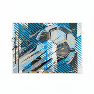 CARPETAS 2 TAPAS No 5 C/IMAGEN PLASTIFICADAS